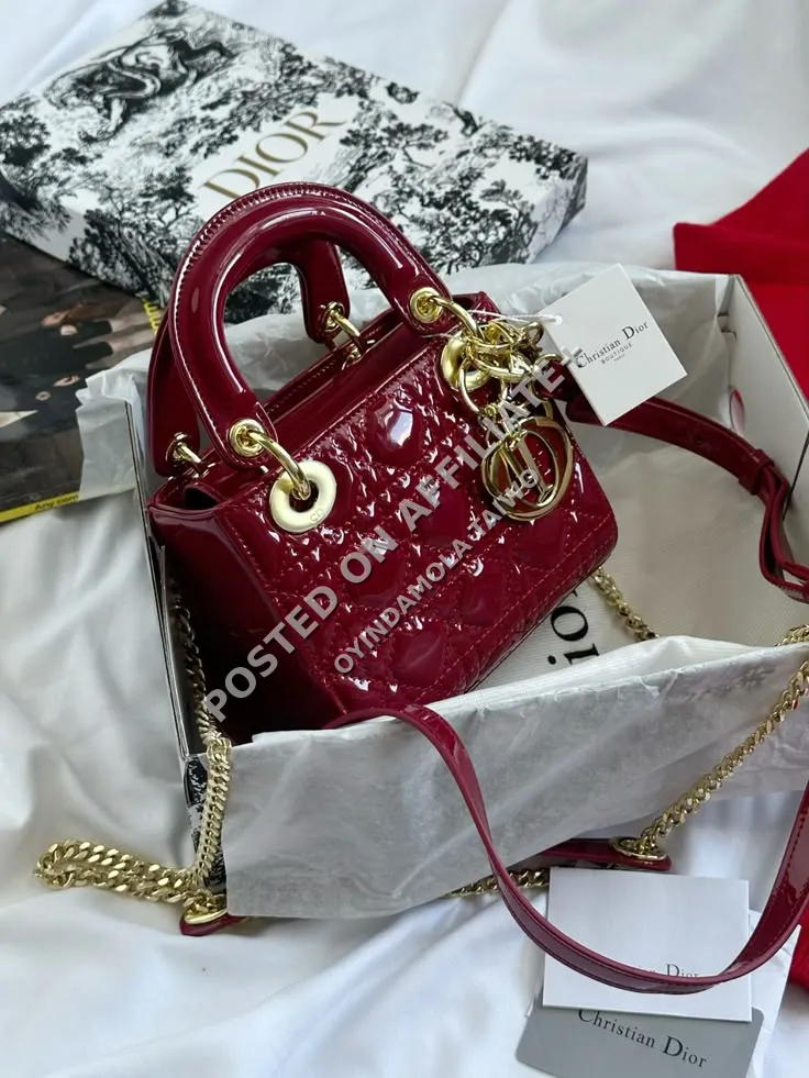 Fashion bag for ladies  3