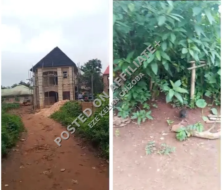 Lands for sale at NSUKKA/ Edem 2