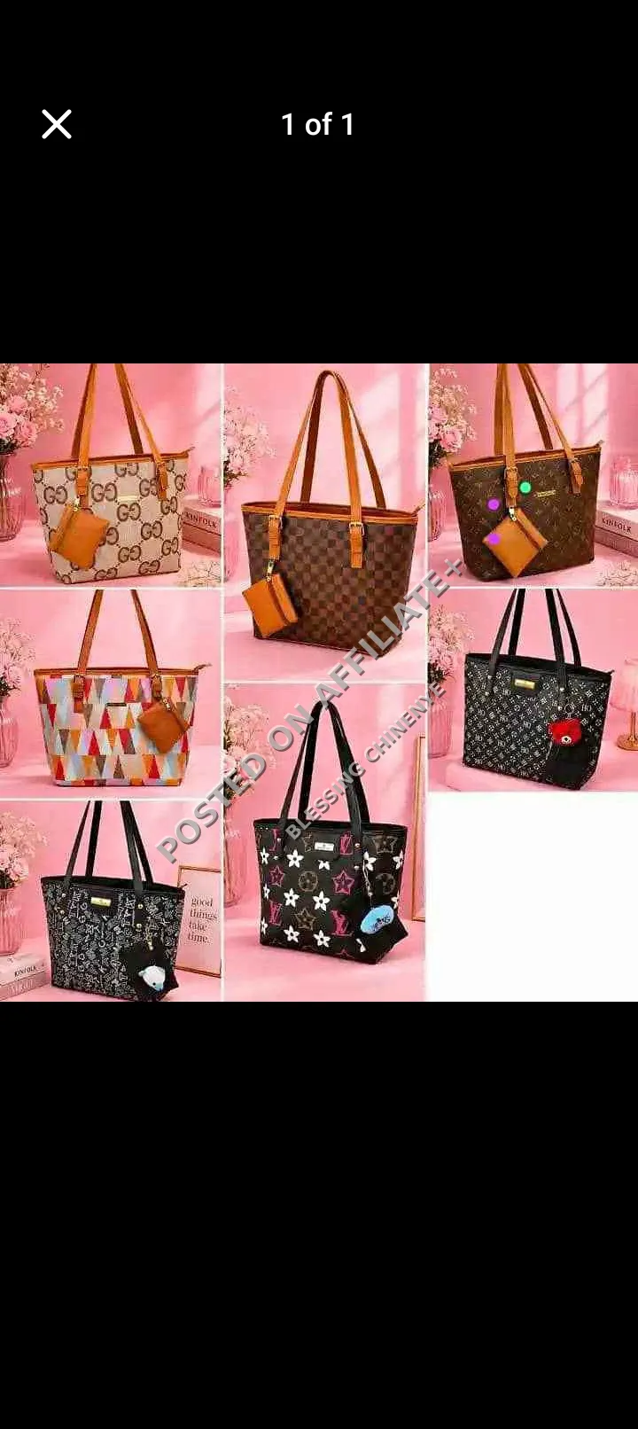 Ladies luxury wear, shoes, and bag 2